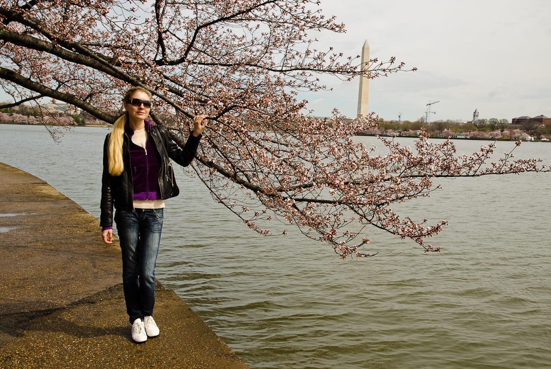 Washington, D.C., National Mall, Cherry Blossom Festival, Sakura