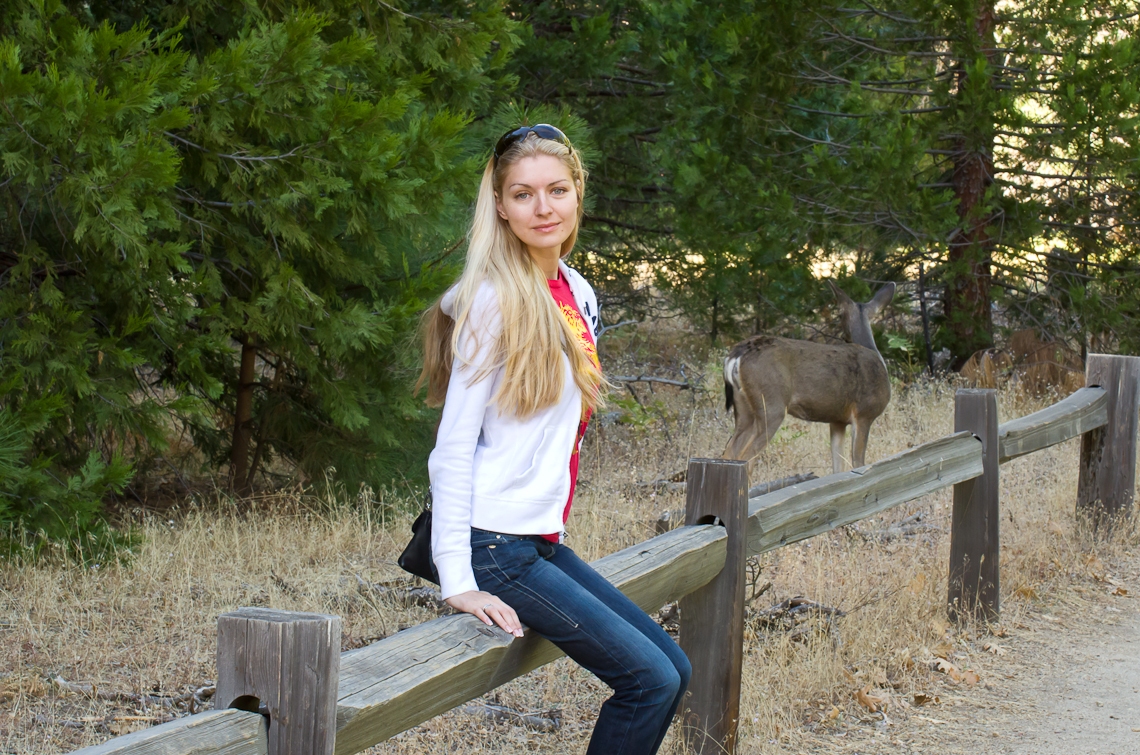 Йосемите, Олень / Yosemite, Deer