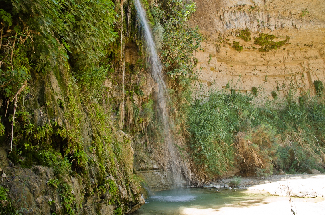 Israel, Dead Sea, Ein Gedi, Waterfall,  Мертвое море, Эйн-Геди