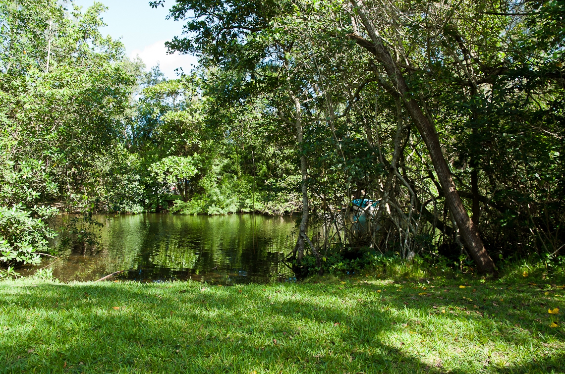 Miami, Greynolds Park