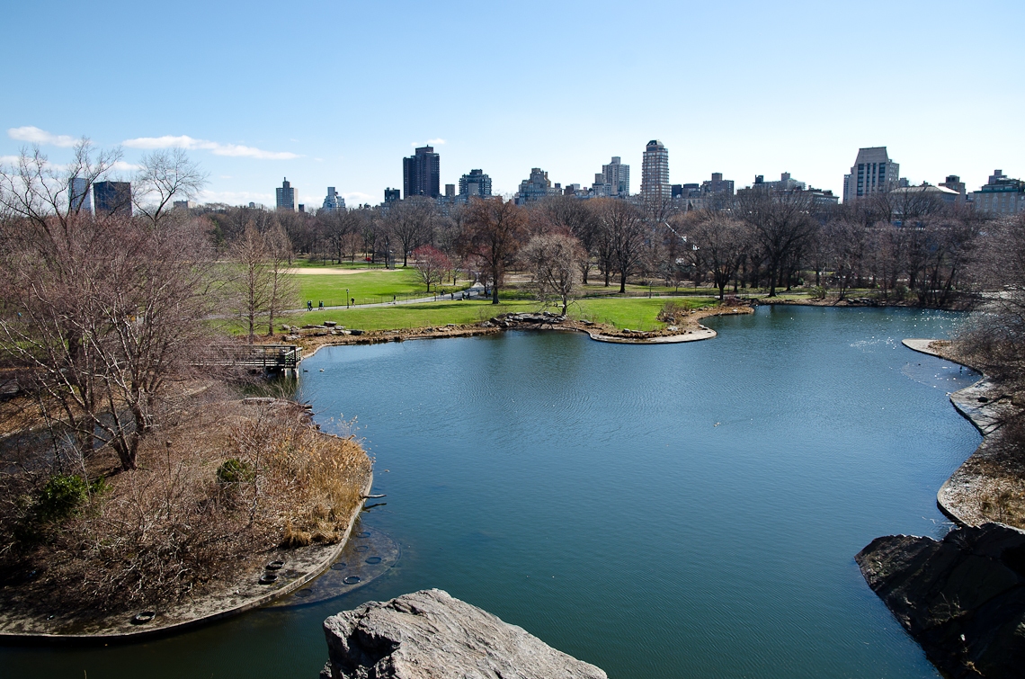 New York, Manhattan, Central Park, Belvedere Castle, Turtle Pond