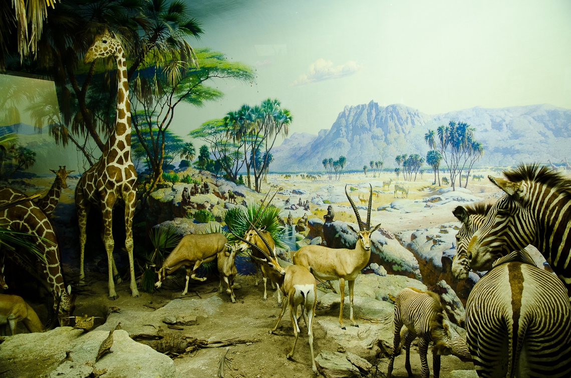 New York, Manhattan, American Museum of Natural History